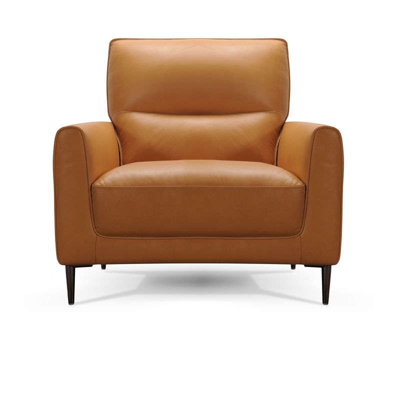 Fauteuil en cuir DODDY